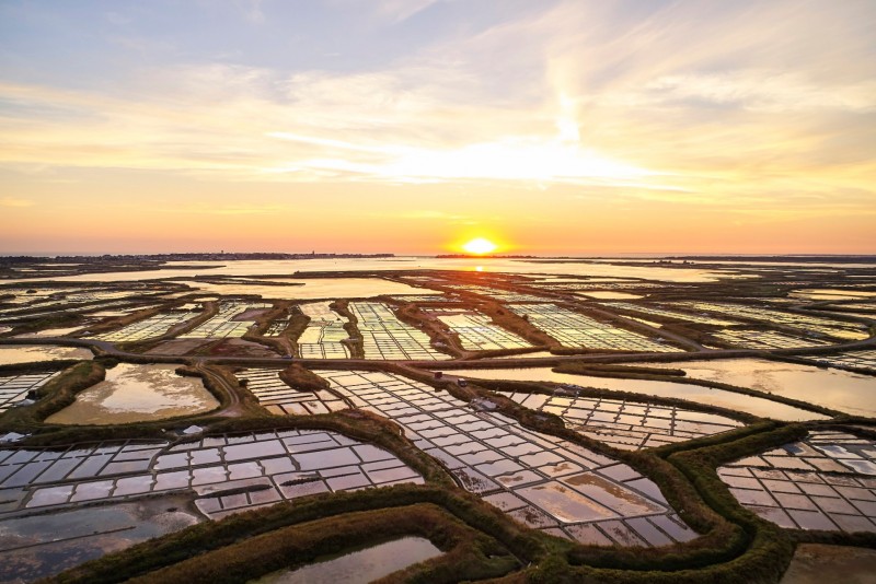 Marais salants de Guérande