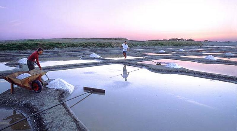 Les salines de Millac