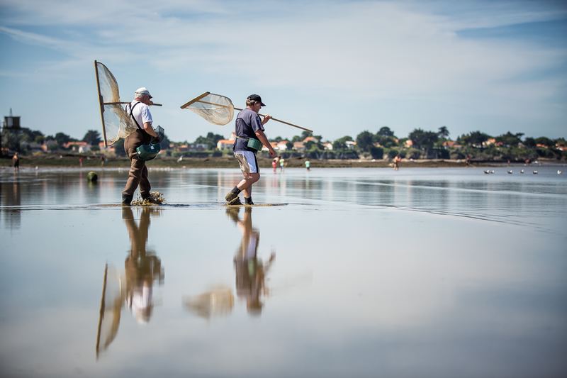 La pêche à pied