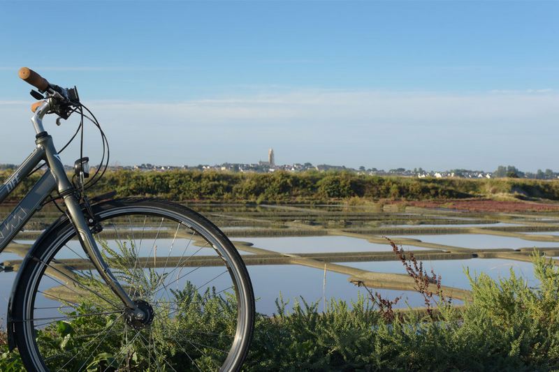 Balade à vélo dans le marais breton