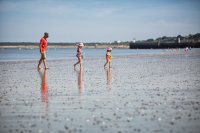 Partons ramasser les coquillages